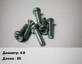 Винт 4.8х80